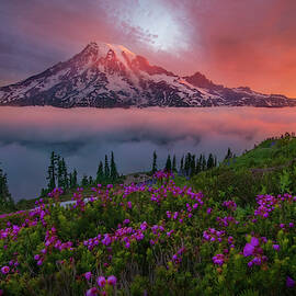 A Moment In Time by Chris Moore