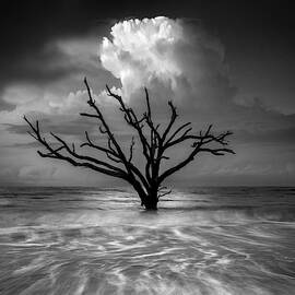 Oceanus by Chris Moore