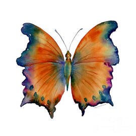 1 Wizard Butterfly by Amy Kirkpatrick