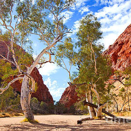 Simpsons Gap by Bill  Robinson