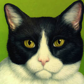A Serious Cat by James W Johnson