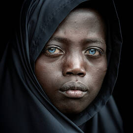 Abushe by Trevor Cole