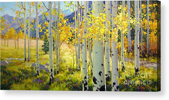 Afternoon Aspen Grove Acrylic Print