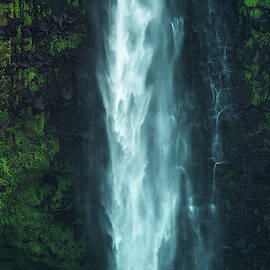 Akaka Falls by Tor-Ivar Naess