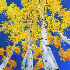 Aspen Tree Canopy and blue sky  by Gary Kim