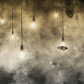 Attraction by Jeffrey Hummel