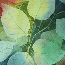 Autumn leaves by Johanna Virtanen