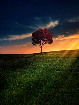 Sunset Art Prints for Sale