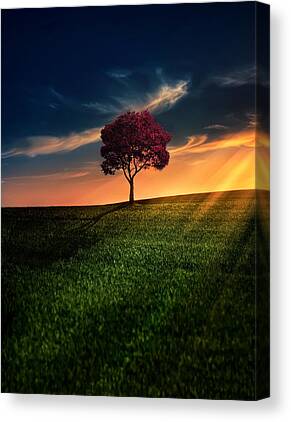 Sunset Canvas Prints for Sale