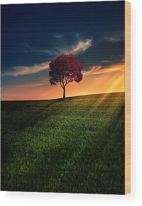Sunset Wood Prints for Sale