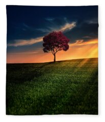 Sunset Fleece Blankets for Sale