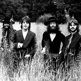 The Beatles by Retro Images Archive