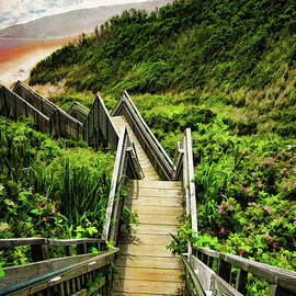 Block Island by Lourry Legarde