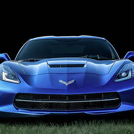 Blue 2013 Corvette by Douglas Pittman