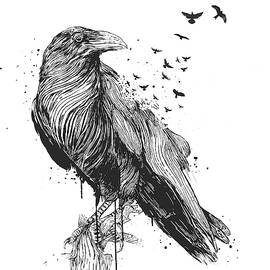 Born to be free  by Balazs Solti