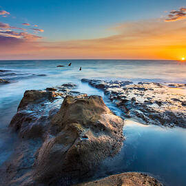 Cape Arago Orcas by Robert Bynum