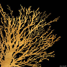 Coastal Coral On Black Ii by Lanie Loreth