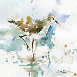 coastal sandpiper 1 by Carol Robinson