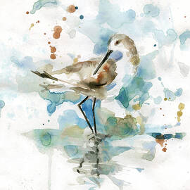coatal sandpiper 2 by Carol Robinson