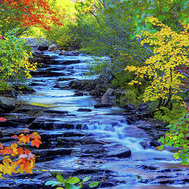 Color Alley by Chad Dutson