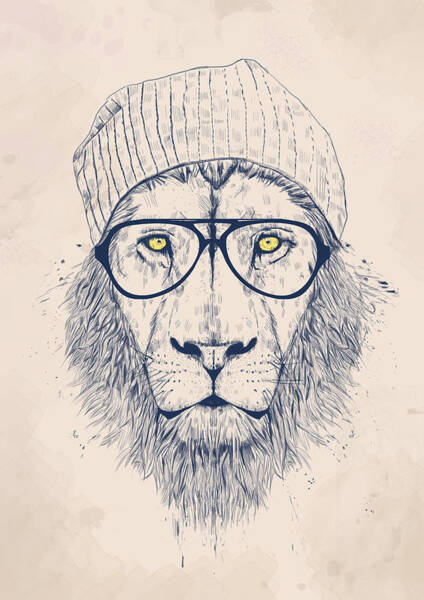 Wall Art - Drawing - Cool lion by Balazs Solti