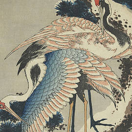 Cranes on Pine by Hokusai