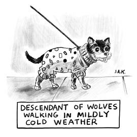 Descendant Of Wolves by Jason Adam Katzenstein