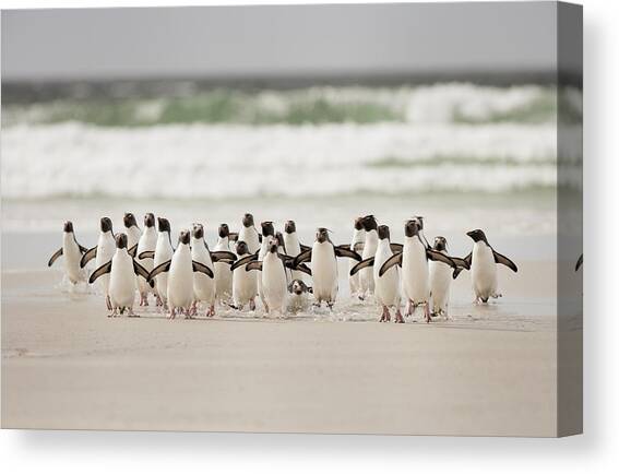 Desembarco Canvas Art Print by Joan Gil Raga