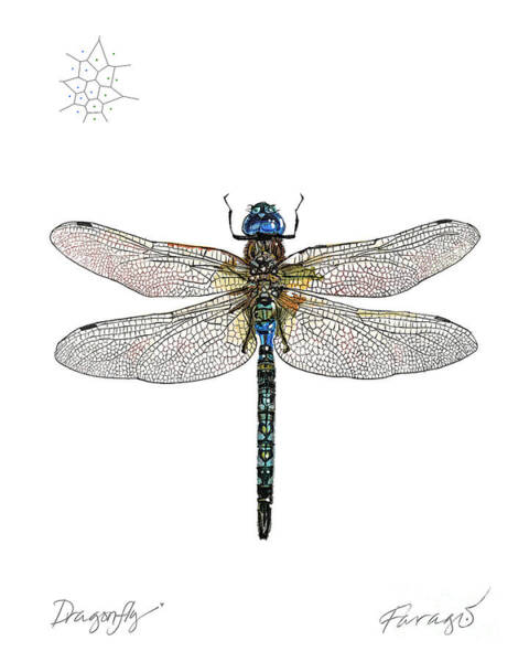 Wall Art - Drawing - DragonFly by Peter Farago