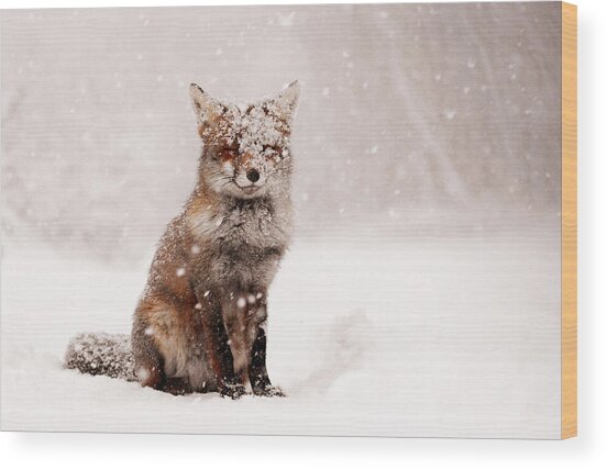 Fairytale Fox _ Red Fox In A Snow Storm Wood Print