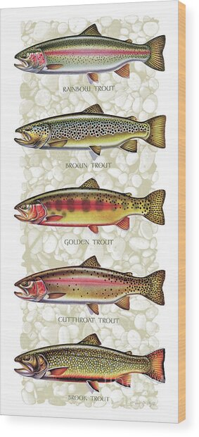 Five Trout Panel Wood Print