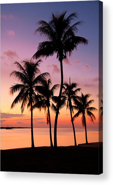 Florida Breeze Acrylic Print