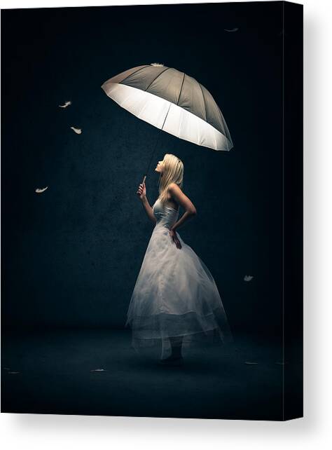 Girl with umbrella and falling feathers Canvas Art Print by Johan Swanepoel