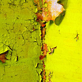 Going Green by Skip Hunt