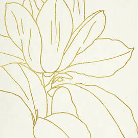 Gold Magnolia Line Drawing V2 Crop by Moira Hershey