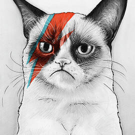 Grumpy Cat as David Bowie by Olga Shvartsur