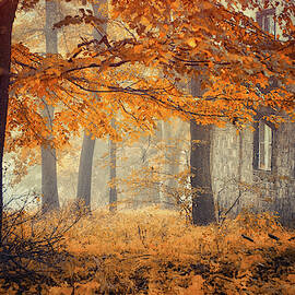 Hideaway by Ildiko Neer