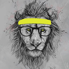 Hipster lion by Balazs Solti
