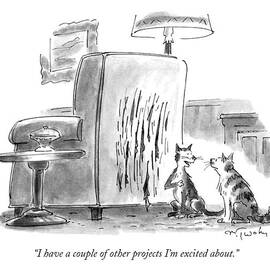 I Have A Couple Of Other Projects I'm Excited by Mike Twohy