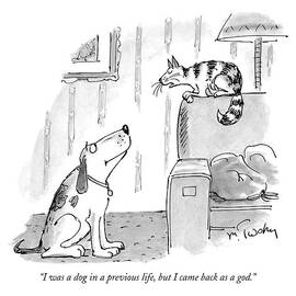 I Was A Dog In A Previous Life by Mike Twohy