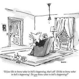 I'd Just Like To Know What In Hell Is Happening by George Booth