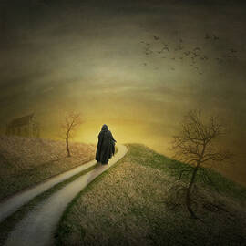 In To The Light by Ian Barber