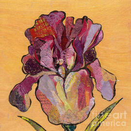 Iris V  - Series V by Shadia Derbyshire