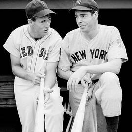 Joe DiMaggio and Ted Williams by Gianfranco Weiss