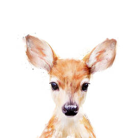Little Deer by Amy Hamilton