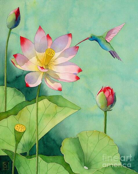 Wall Art - Painting - Lotus And Hummingbird by Robert Hooper