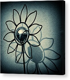 Flowers Acrylic Prints for Sale