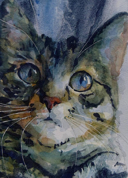 Wall Art - Painting - Mystery Tabby by Paul Lovering