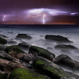 Nature's splendor by Jorge Maia
