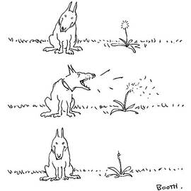 New Yorker May 22nd, 1978 by George Booth